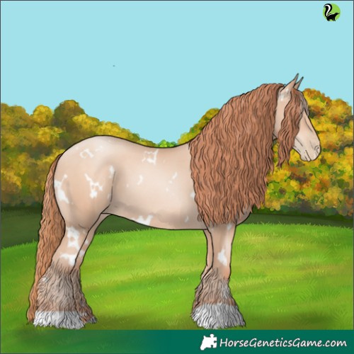 Horse Color:White Spotted Sable Champagne Pearl 