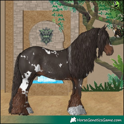 Horse Color:White Spotted Liver Chestnut Rabicano 