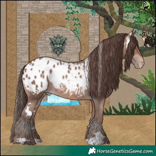 Horse Color:White Spotted Sable Champagne Appaloosa 