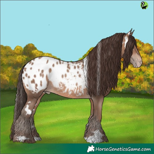 Horse Color:White Spotted Sable Champagne Appaloosa
