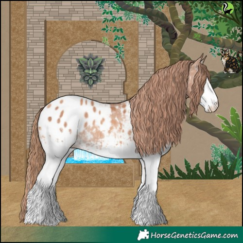 Horse Color:White Spotted Gold Champagne Appaloosa Rabicano 