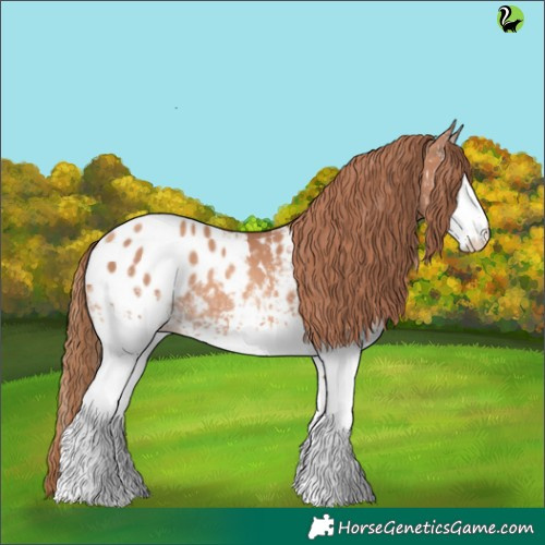 Horse Color:White Spotted Gold Champagne Appaloosa Rabicano 