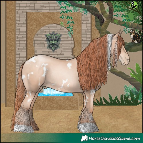 Horse Color:White Spotted Sable Champagne Pearl Rabicano 
