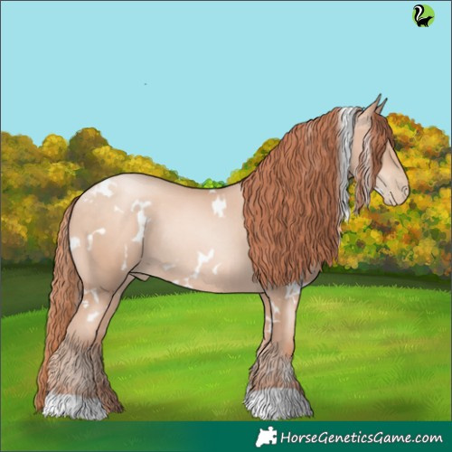 Horse Color:White Spotted Sable Champagne Pearl Rabicano 