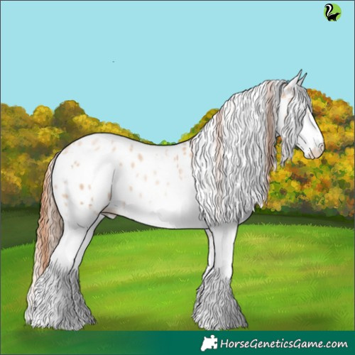 Horse Color:White Spotted Sable Champagne Pearl Appaloosa