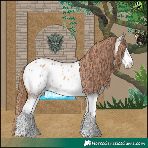 Horse Color:White Spotted Gold Champagne Appaloosa 