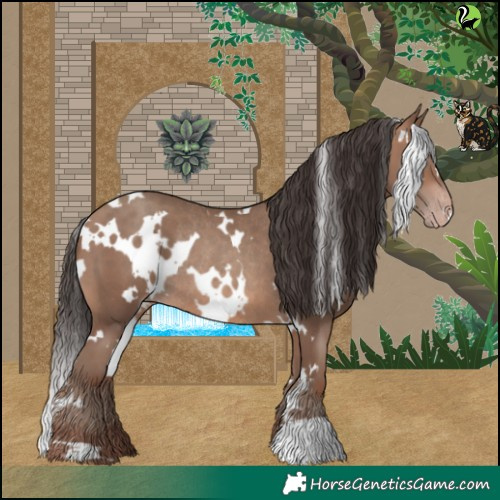 Horse Color:White Spotted Sable Champagne Rabicano 