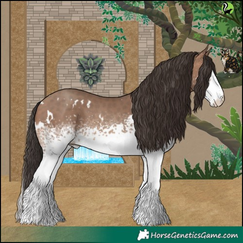 Horse Color:White Spotted Sable Champagne 