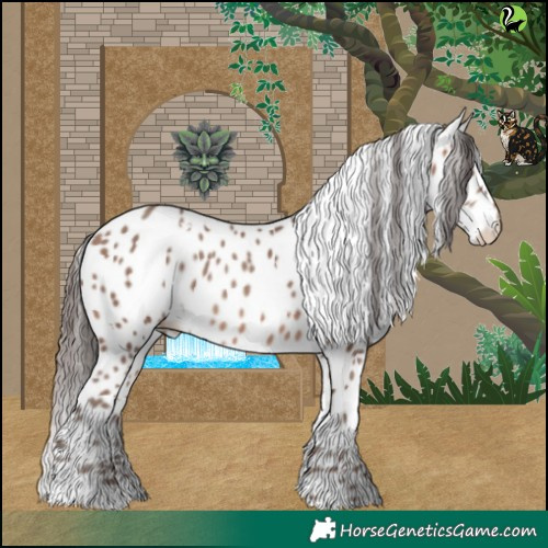 Horse Color:White Spotted Sable Champagne Appaloosa 