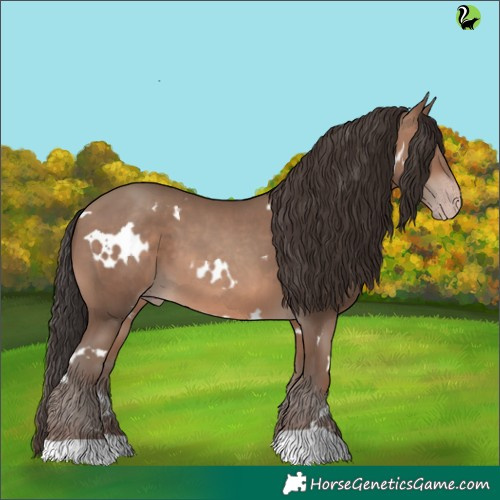 Horse Color:White Spotted Sable Champagne 