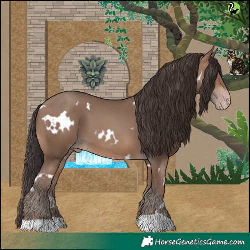 Horse Color:White Spotted Sable Champagne 