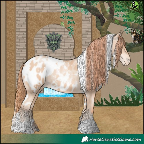 Horse Color:White Spotted Sable Champagne Pearl Appaloosa 