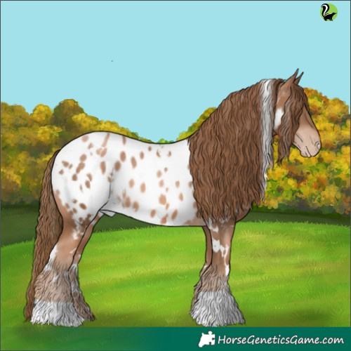 Horse Color:White Spotted Liver Chestnut Pearl Appaloosa