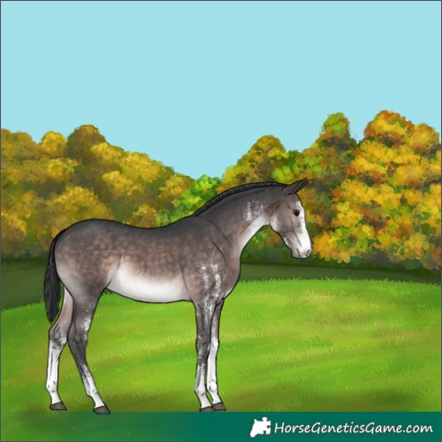 Horse Color:Platinum White Spotted Brown 