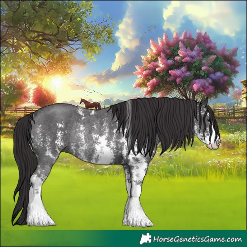 Horse Color:Smoky Black Sabino Rabicano 
