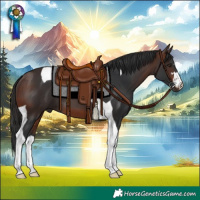 Horse Color:Brown Tobiano
