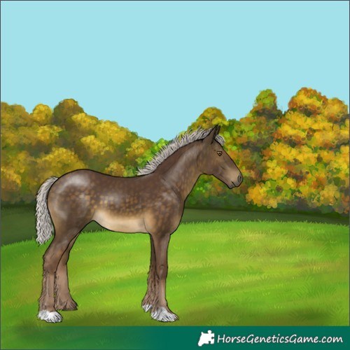 Horse Color:Chocolate Silver Buckskin 