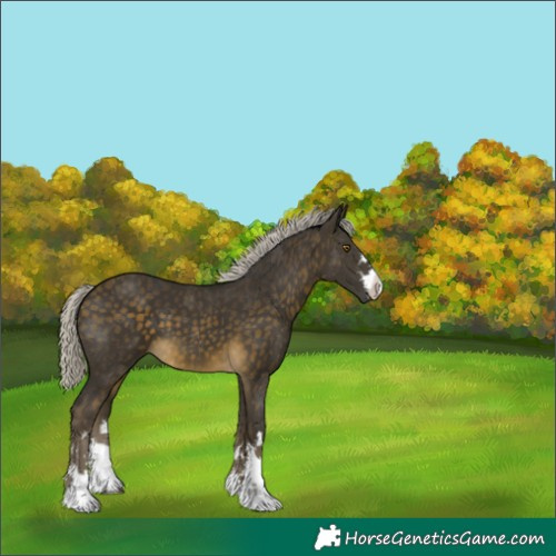 Horse Color:White Spotted Silver Buckskin 