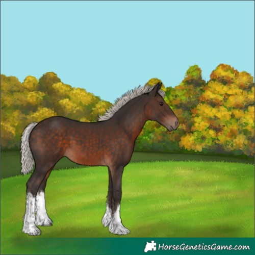 Horse Color:White Spotted Silver Brown 