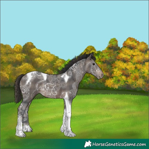 Horse Color:Plaid  Brown Ice Tobiano 