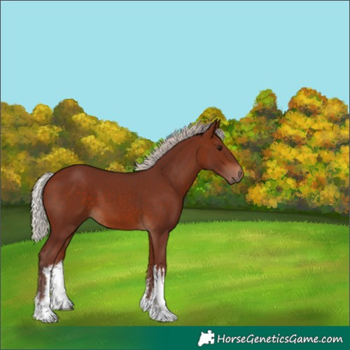 Horse Color:White Spotted Chocolate Silver Bay 
