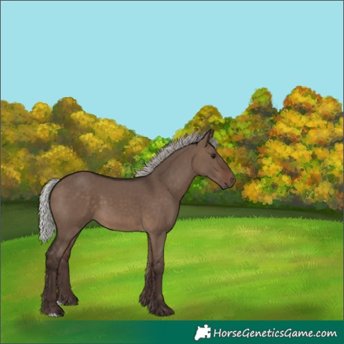 Horse Color:Silver Brown Dun 
