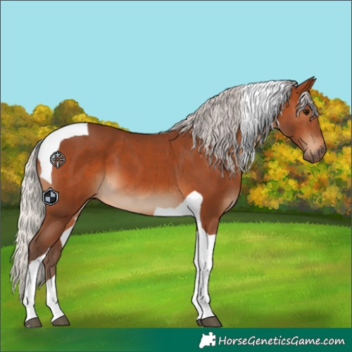 Horse Color:Silver Brown Tobiano 