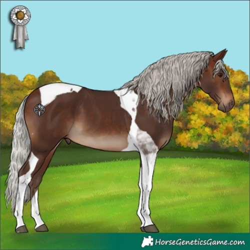 Horse Color:Silver Brown Tobiano