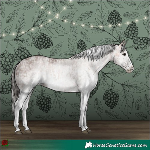 Horse Color:White Spotted Bay Splash  and Gray White Spotted Bay Splash 