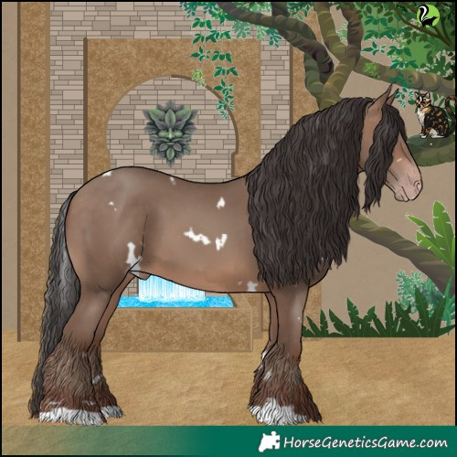Horse Color:White Spotted Sable Champagne 