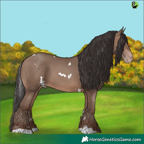 Horse Color:White Spotted Sable Champagne 