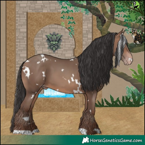 Horse Color:White Spotted Sable Champagne 