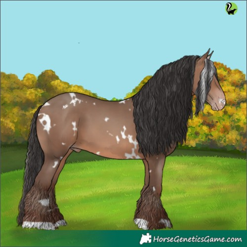 Horse Color:White Spotted Sable Champagne