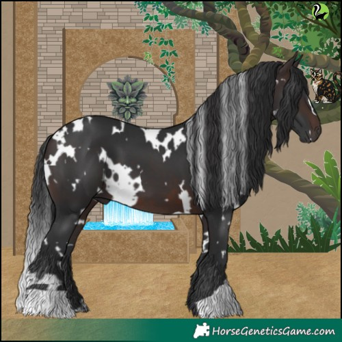 Horse Color:White Spotted Brown 