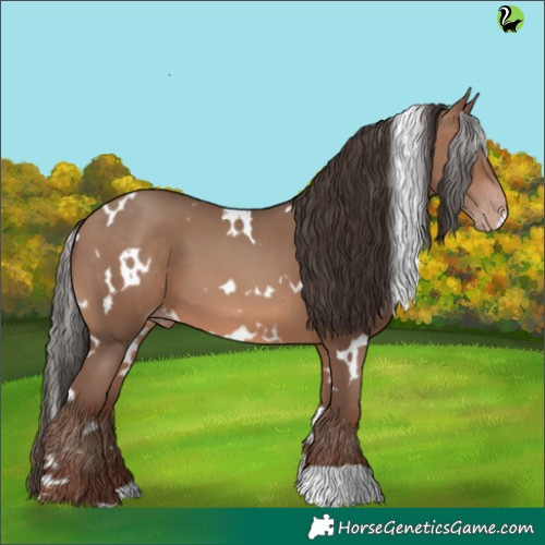 Horse Color:White Spotted Sable Champagne