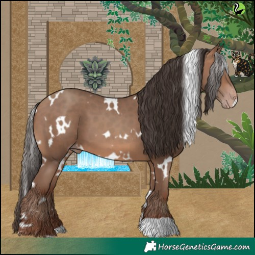Horse Color:White Spotted Sable Champagne 