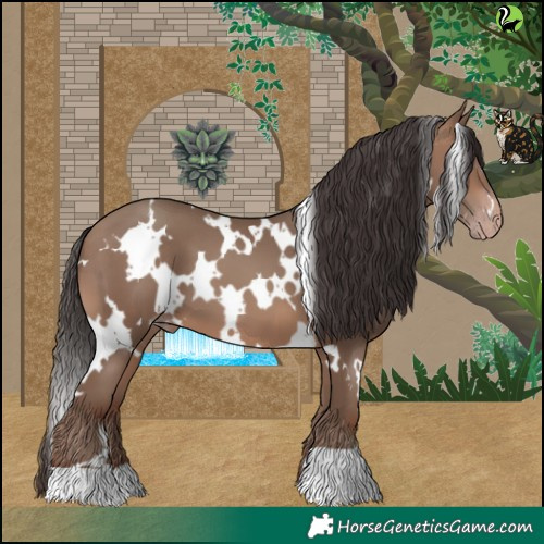 Horse Color:White Spotted Sable Champagne 