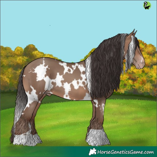 Horse Color:White Spotted Sable Champagne