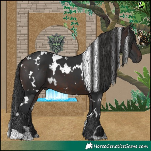 Horse Color:White Spotted Brown 