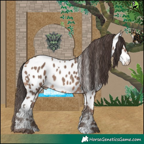 Horse Color:White Spotted Sable Champagne Appaloosa 