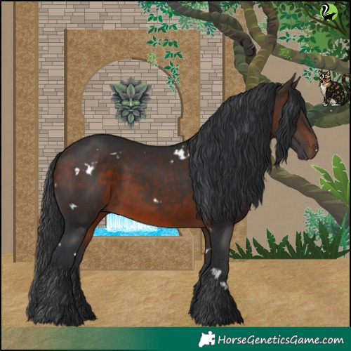 Horse Color:White Spotted Brown 