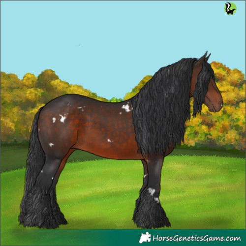 Horse Color:White Spotted Brown