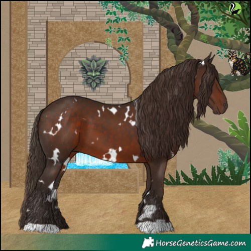 Horse Color:White Spotted Liver Chestnut 