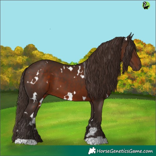 Horse Color:White Spotted Liver Chestnut 