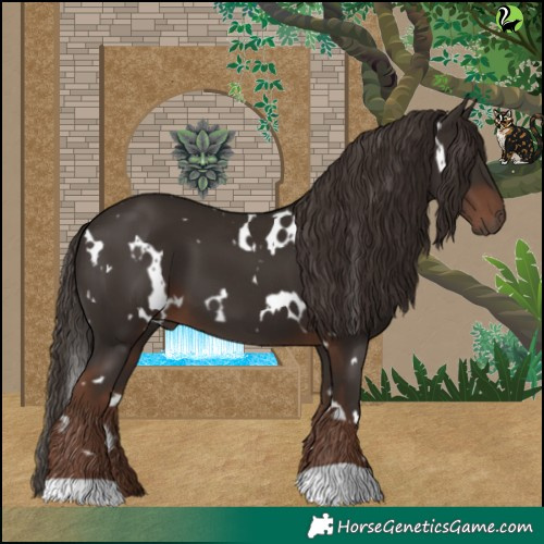 Horse Color:White Spotted Liver Chestnut 