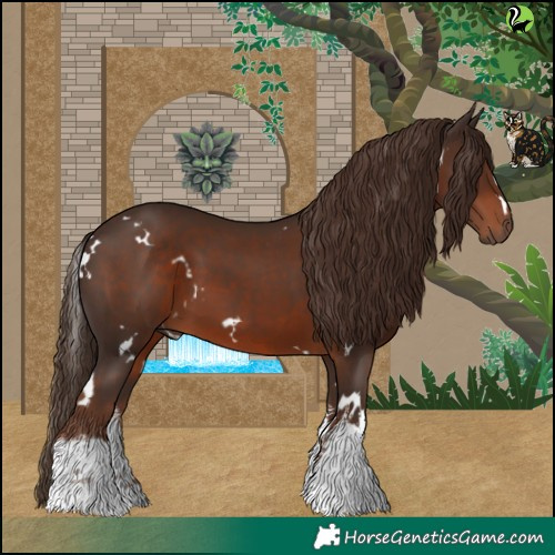 Horse Color:White Spotted Liver Chestnut 
