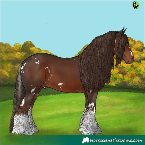 Horse Color:White Spotted Liver Chestnut 