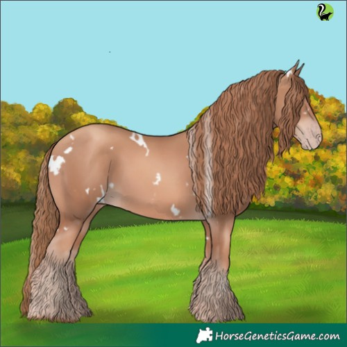 Horse Color:White Spotted Gold Champagne 