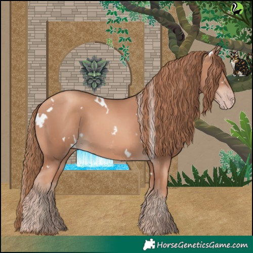Horse Color:White Spotted Gold Champagne 