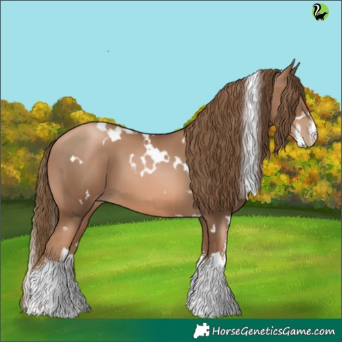 Horse Color:White Spotted Liver Chestnut Pearl 